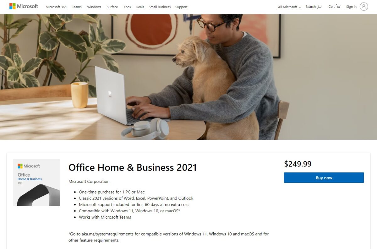 Downloadable products are downloadable eCommerce products